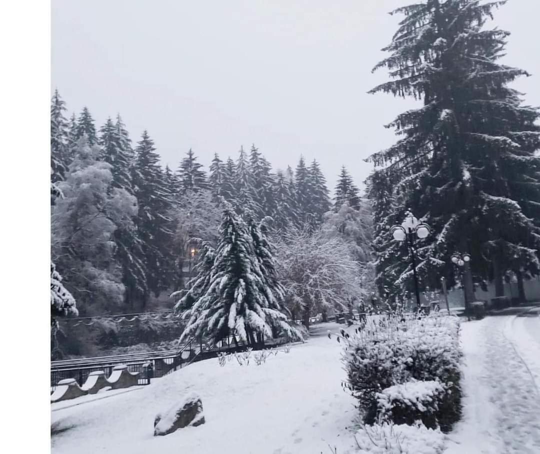 Vila Nicoleta Băile Olăneşti Exteriér fotografie