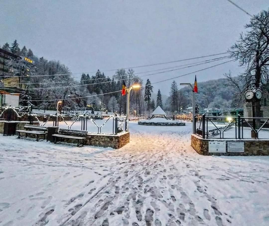 Vila Nicoleta Băile Olăneşti Exteriér fotografie