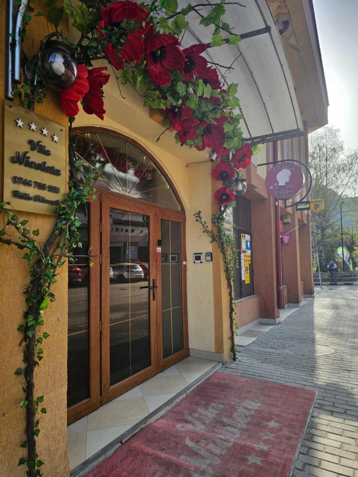 Vila Nicoleta Băile Olăneşti Exteriér fotografie