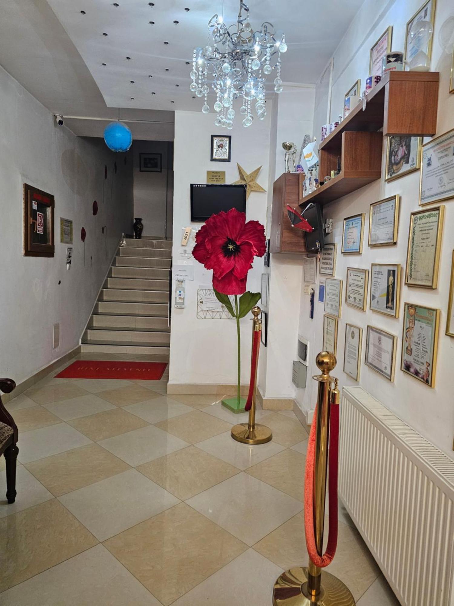 Vila Nicoleta Băile Olăneşti Exteriér fotografie