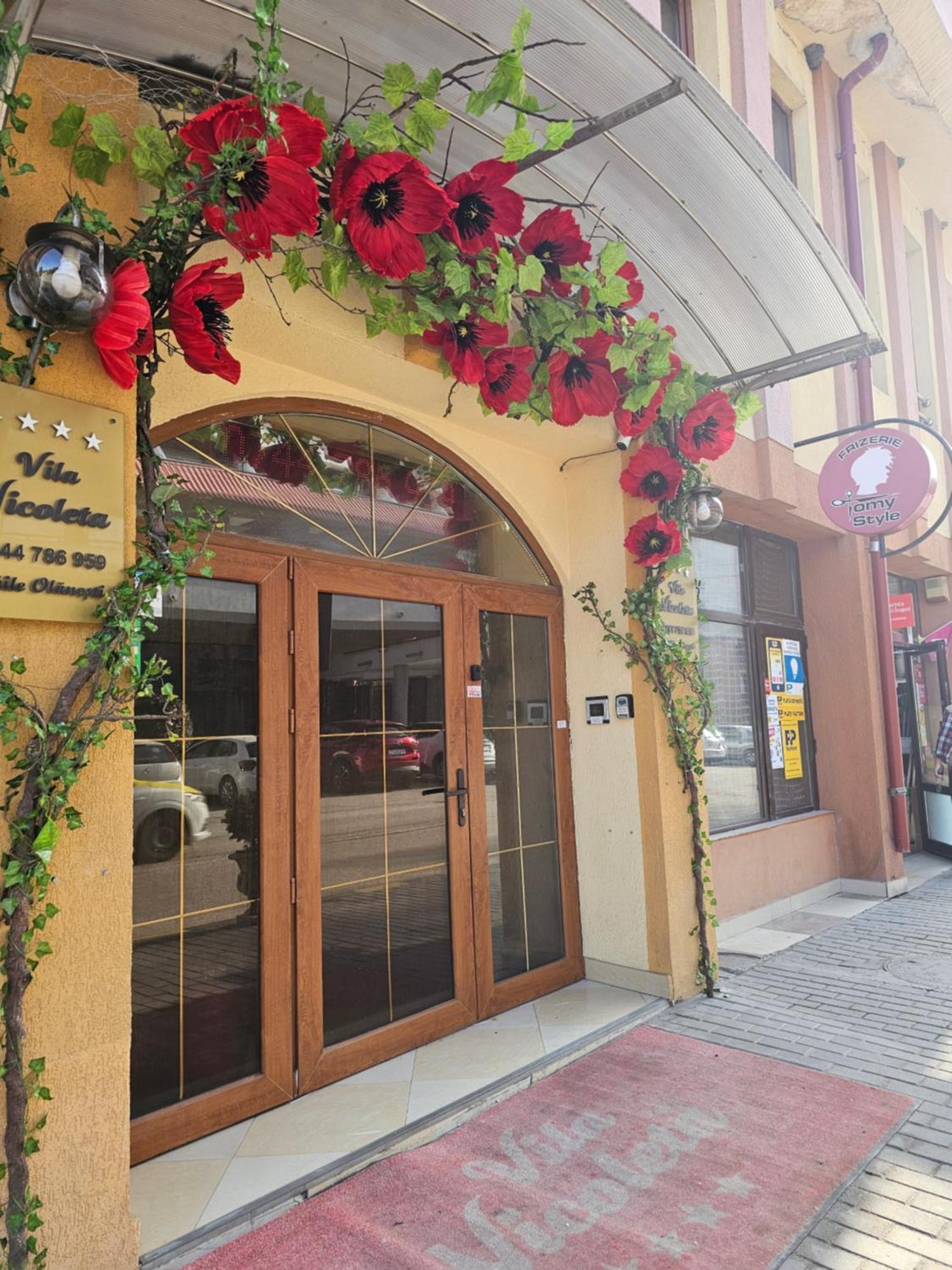 Vila Nicoleta Băile Olăneşti Exteriér fotografie