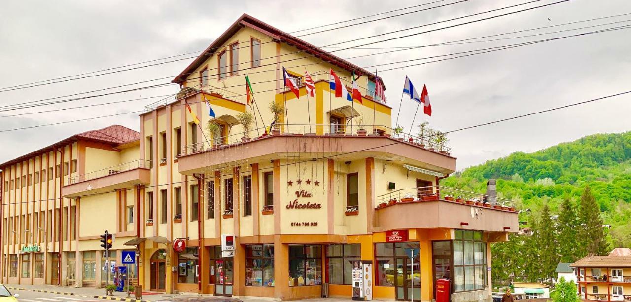 Vila Nicoleta Băile Olăneşti Exteriér fotografie